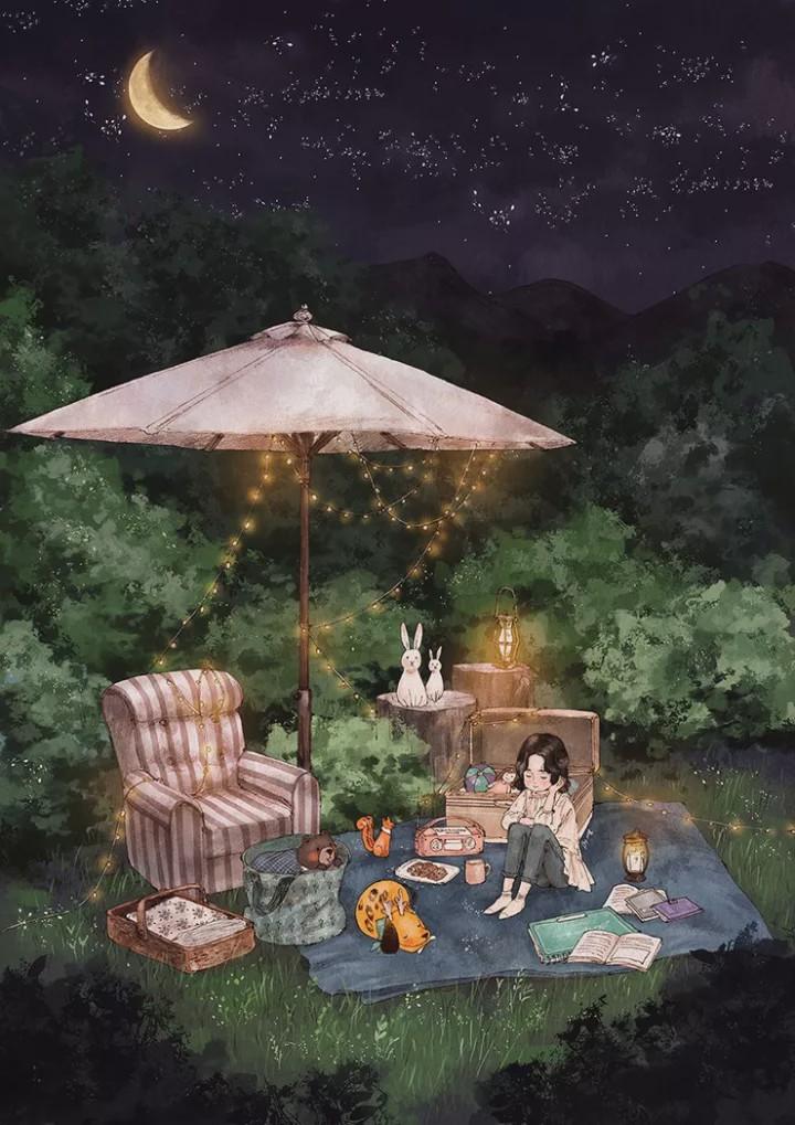 探索知识星球平台,尽览